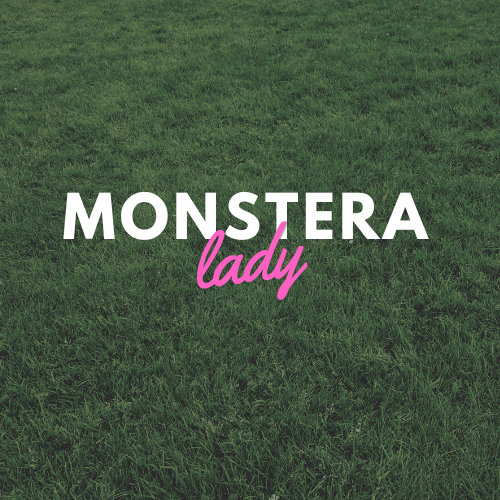 Monstera Lady